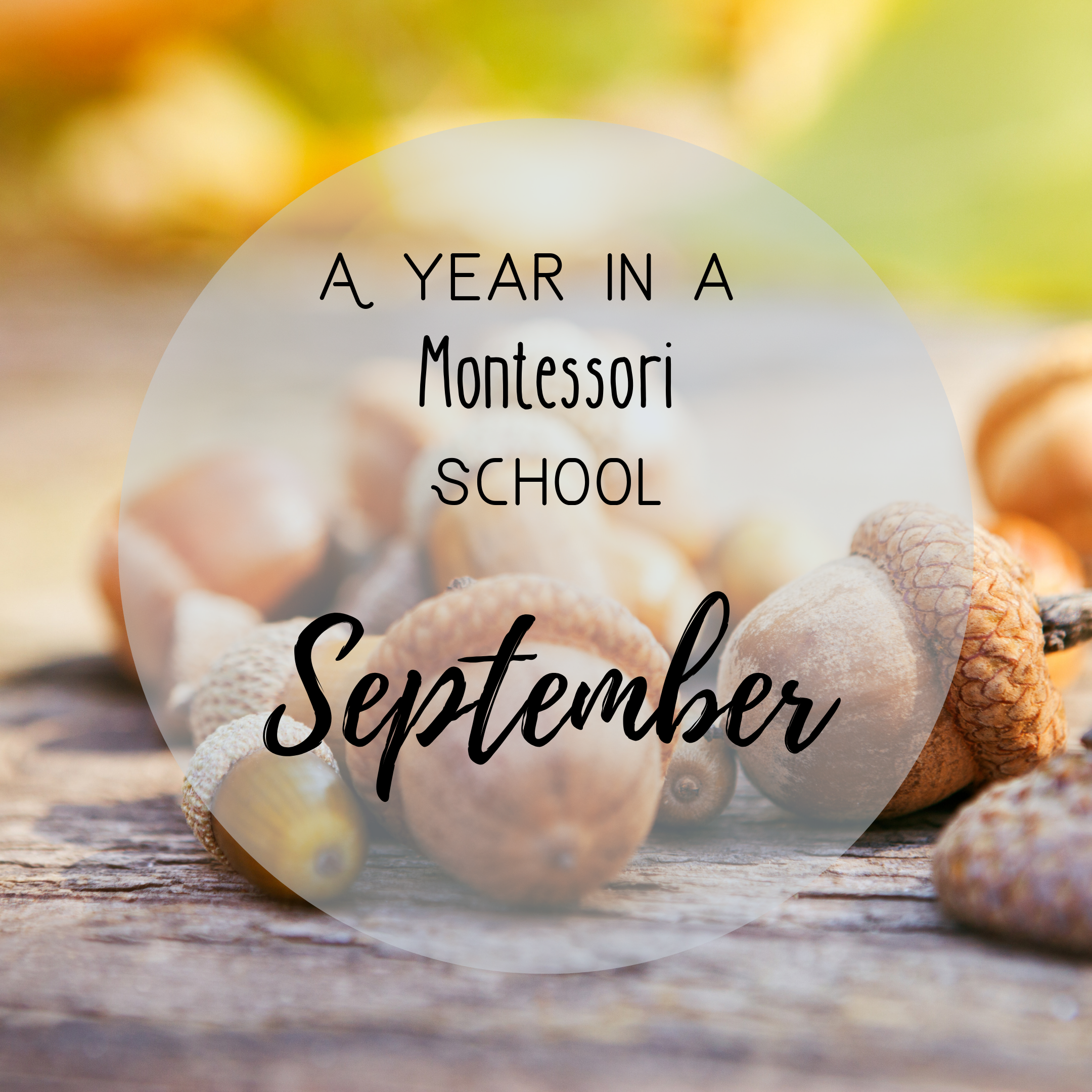 September in the Montessori Classroom